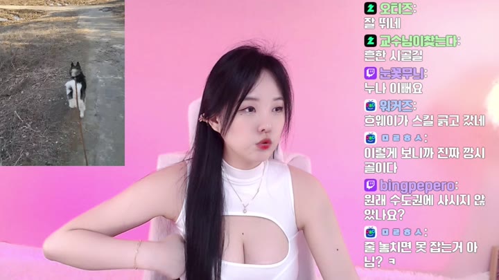 Watch Twitch-kimhasun-20240214151847