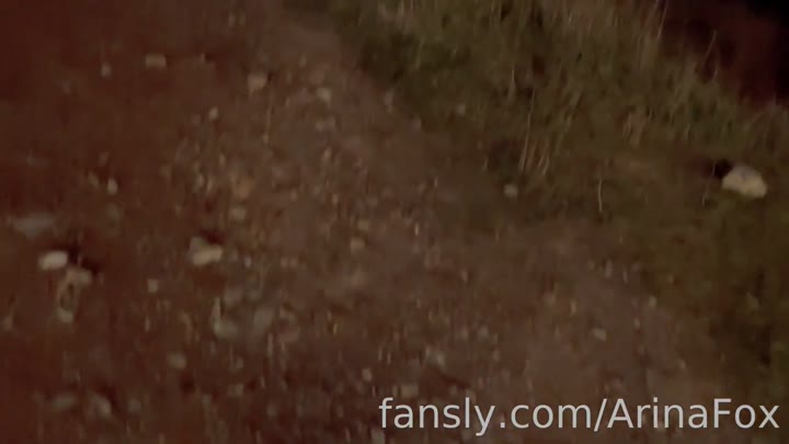 Watch Arina Fox Gives A Blowjob On A Ferris Wheel