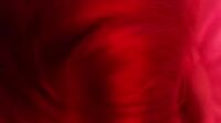 Watch Littlepolishangel Teases in POV Cock-Sucking Sex Video Leak