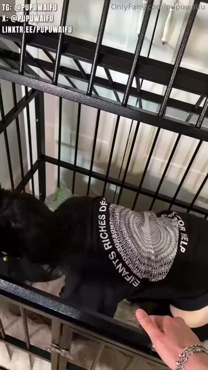 Watch Kitty Pupuwaifu Gets Fucked In A Cage