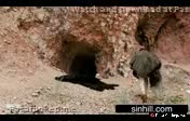 Watch Bokep Barat Ngentot Ala Jaman Purba