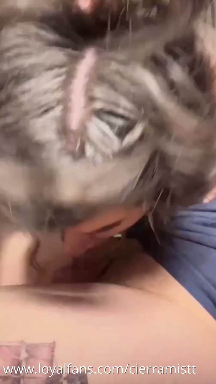 Watch Cierra Mistt blowjob with big cock in car… Omg!!! New sex tape trending leaked