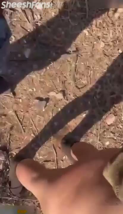 Watch Indian College Student Fucks Boyfriend In Public Park Exclusive
