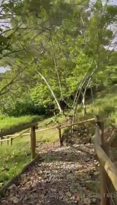 Watch KeylinVIP Sex In The Woods Onlyfans Video Leaked
