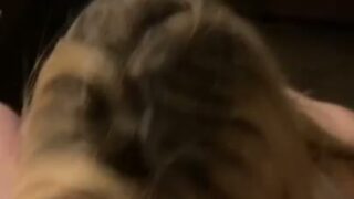 Rocketreyna Hotel Blowjob And Fucked BG Onlyfans Sex Video Leaked