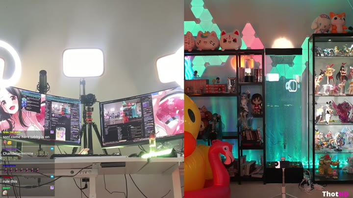 Watch strawberrytabby Leak 1